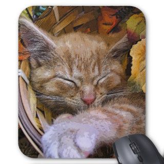 Cute Animal Sleeping, Nature Kitten, Fall Flowers Mouse Pad