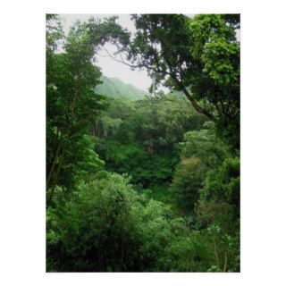 Hawaiian Tropical Rain Forest