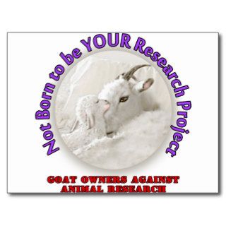 No Goat Research Post Cards