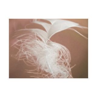 White feather gently floating gallery wrap canvas