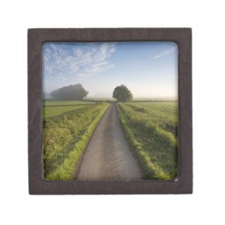 Country road between agricultural fields in Englan Premium Jewelry Box