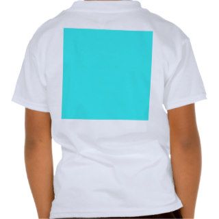 Plain Turquoise Color Background Tee Shirt