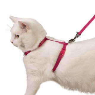 Savvy Tabby Nylon Cat Harness, 3/8 Inch, Raspberry Sorbet  Pet Harnesses 