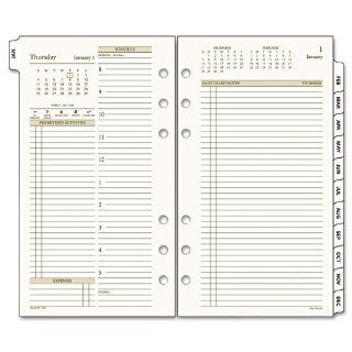 Day Runner PRO Recycled Two Pages Per Day Planning Pages, 3 3/4 x 6 3/4 Inches, 2010 (471 225 10)  Appointment Book And Planner Refills 