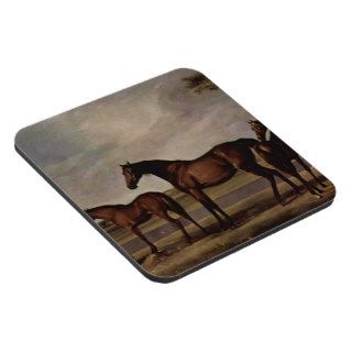 George Stubbs Mares,foals before a looming storm Drink Coasters