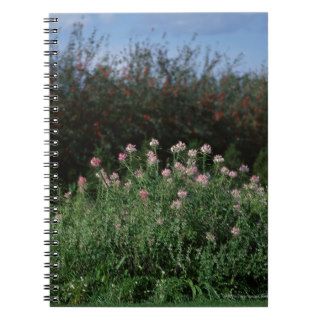 Flower Bed Spiral Note Book