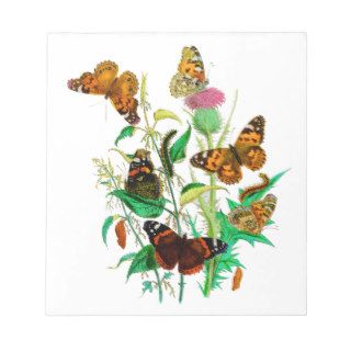 Leopard Butterflies & Caterpillars & Pink Thistle Memo Notepad