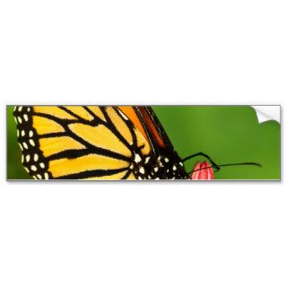 Monarch Butterfly  Side View Photograph Bumper Stickers