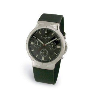Skagen Men's Titanium Watch #489LTRM Watches