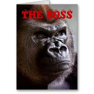Gorilla Silverback The Boss Greeting Cards