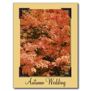 Orange Leaves Autumn Wedding Announcement Postcards