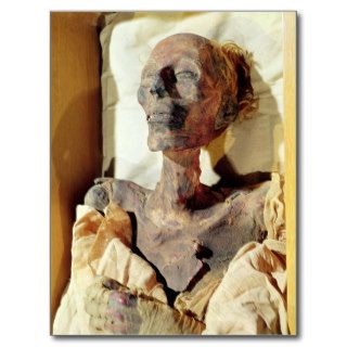 Mummified body of Ramesses II  found in a tomb Post Cards