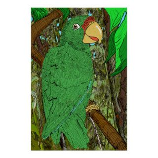 Cotorra Puertorroqueña/Puertorican Parrot Print