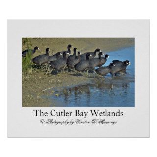 The Cutler Bay Wetlands Christmas Gift Poster
