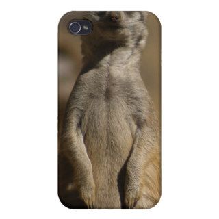 Just Another Meerkat Photo Speck Case Covers For iPhone 4