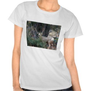 Mule deer spur buck tshirt