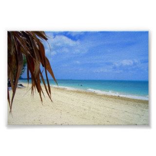 Bahamas Beach and Palm Tree Print