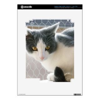 A Max And Mantle Bi Colour Cat Decal For iPad 3