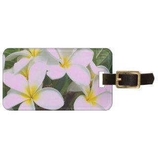 Hawaii Plumeria Flowers Luggage Tags