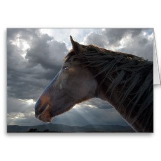 Sympathy Support & Comfort   Horse Lover Card
