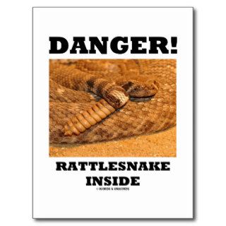 Danger Rattlesnake Inside Post Card