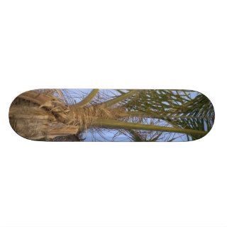 Palm Tree Close up Skateboard   Choose YOUR Size