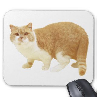 British Shorthair Cream and White Bicolor Cat Mouse Pads