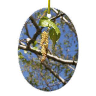 Birch Tree Seed Pods Ornament