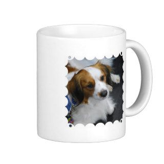 Kooikerhondje Dog  Coffee Mug