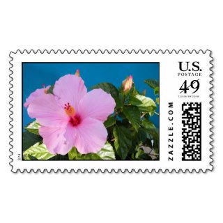 Tropical Hibiscus Postage Stamp