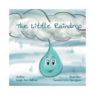 The Little Raindrop Leigh Ann Delrae 9781465371188 Books