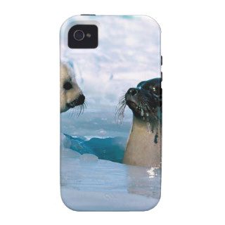 Seal The Water Fine Harp iPhone 4/4S Cases