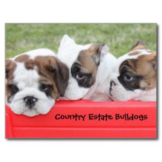 Country Estate Bulldogs Puppy Wagon Post Card