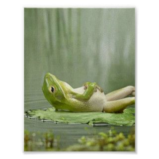 Lazy Frog Posters