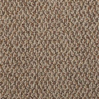 TrafficMASTER Critical Path   Color Tumbleweed 12 ft. Carpet HD02807
