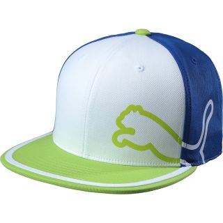 PUMA Mens Monoline 3 Color 110 Snapback Golf Hat, Blue/lime