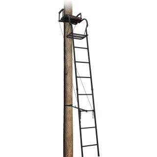 Big Dog Foxhound Ladder Treestand (BDL 101)
