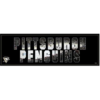 Artissimo Pittsburgh Penguins Team Pride 36X12 Canvas Art (ARTHKYPITTP12)