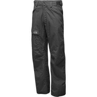 THE NORTH FACE Mens Freedom Pants   Size Xl, Graphite Grey