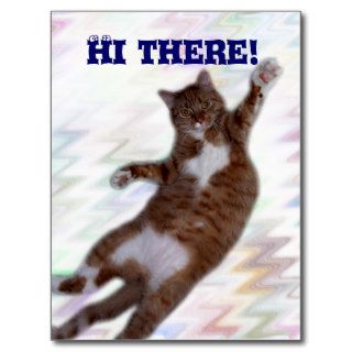 Mister Cat Says Hi Postcard