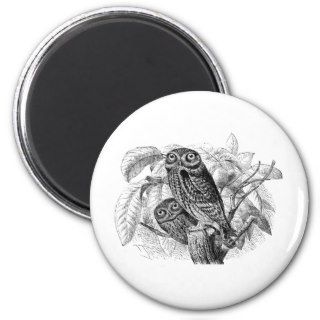 Owl Owls Tree Vintage Wood Engraving Fridge Magnets
