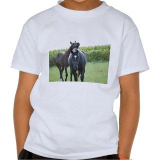 Horse Lovers Tshirts