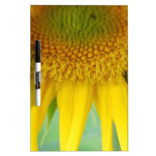 Sunflower Print Dry Erase Whiteboards