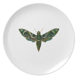 Vintage Oleander Hawk moth Party Plates