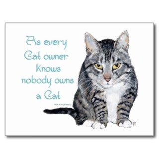 Cat Wisdom   as every Cat owner knows Postcards