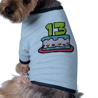 13 Year Old Birthday Cake Pet Tshirt