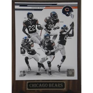 Chicago Bears 2013 Team Photo Plaque Football