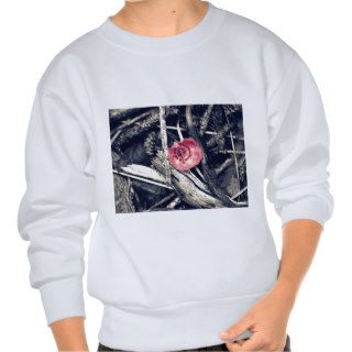 Life Among The Ruins Pull Over Sweatshirt