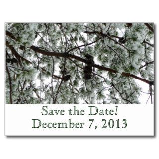 Winter Pine Save the Date Postcard