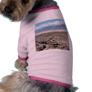Desert Death Valley Salt Pet Clothing